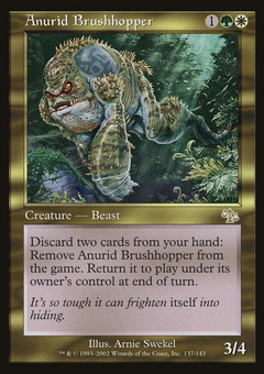 Anurid Brushhopper